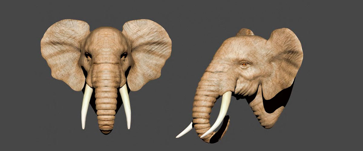 Zbrush Elefante Modelado animales high poly
